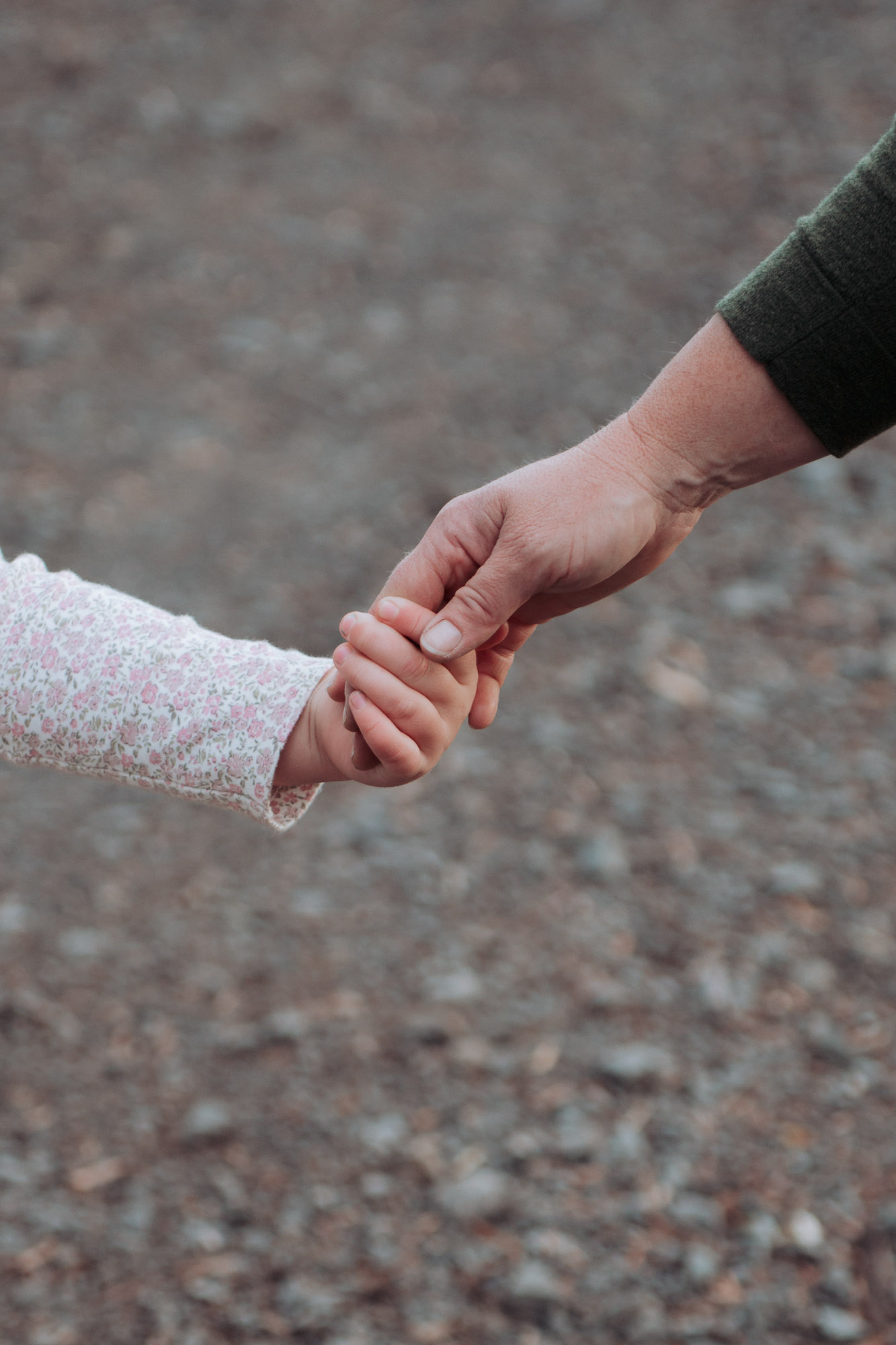 Family photography in northern Tasmania