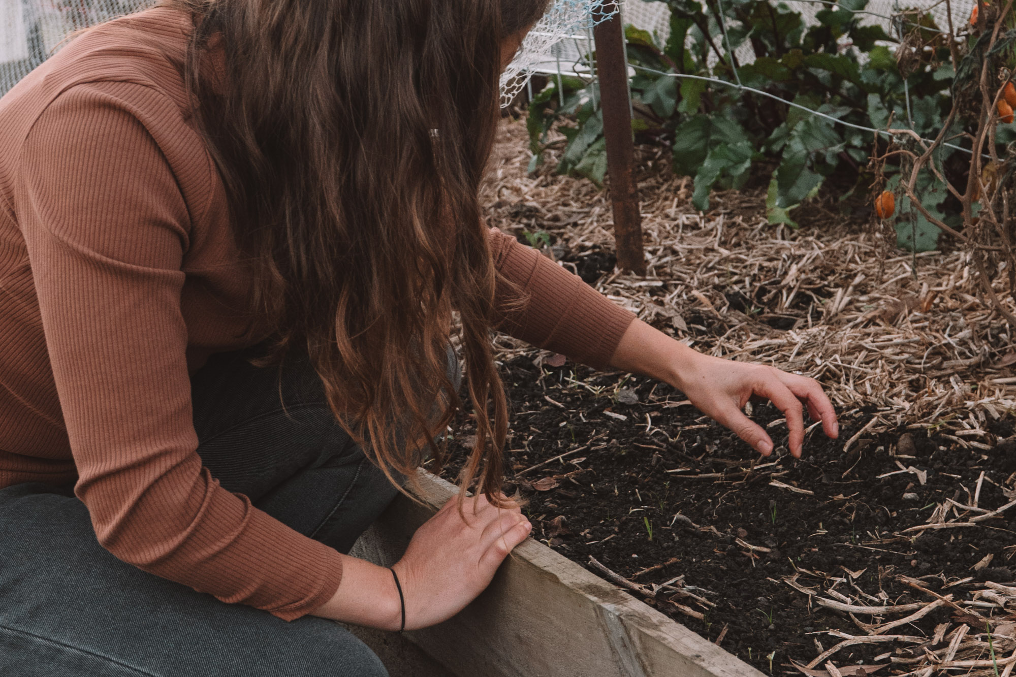 Family session capturing real, natural moments in Tasmania