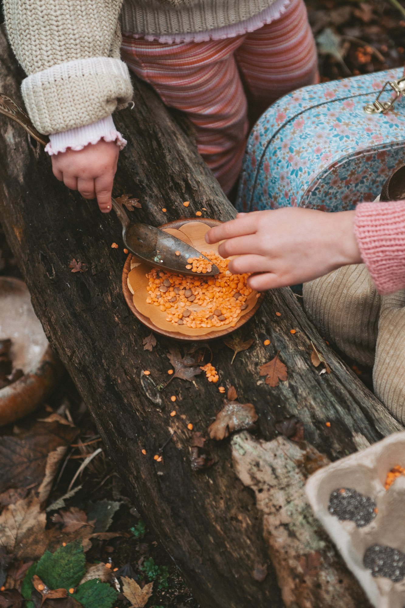 Storytelling lifestyle photography in Tasmania