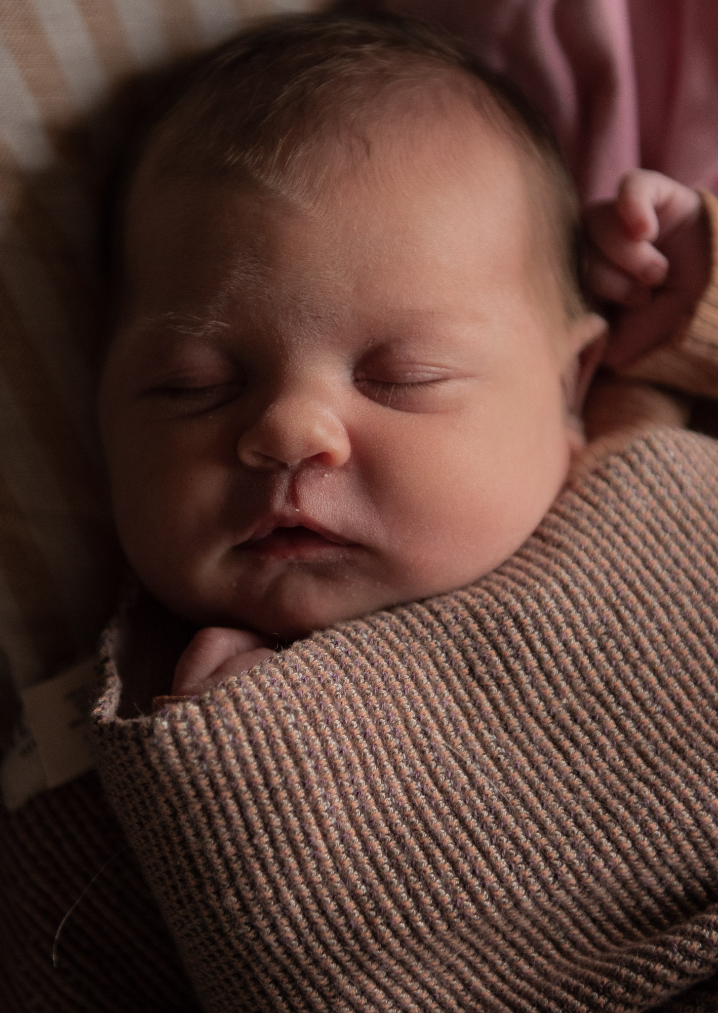 Newborn photography session in Launceston, Tasmania