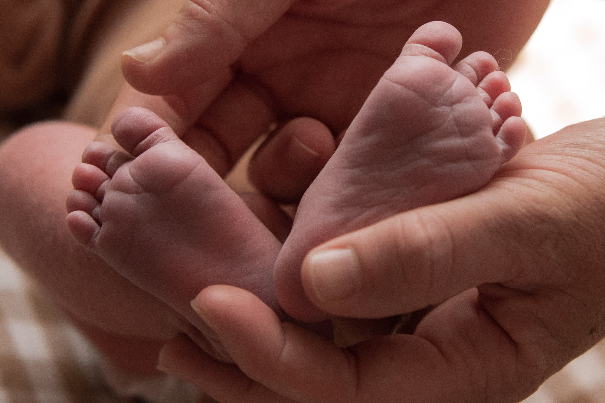 Newborn baby cradled in soft light, Launceston