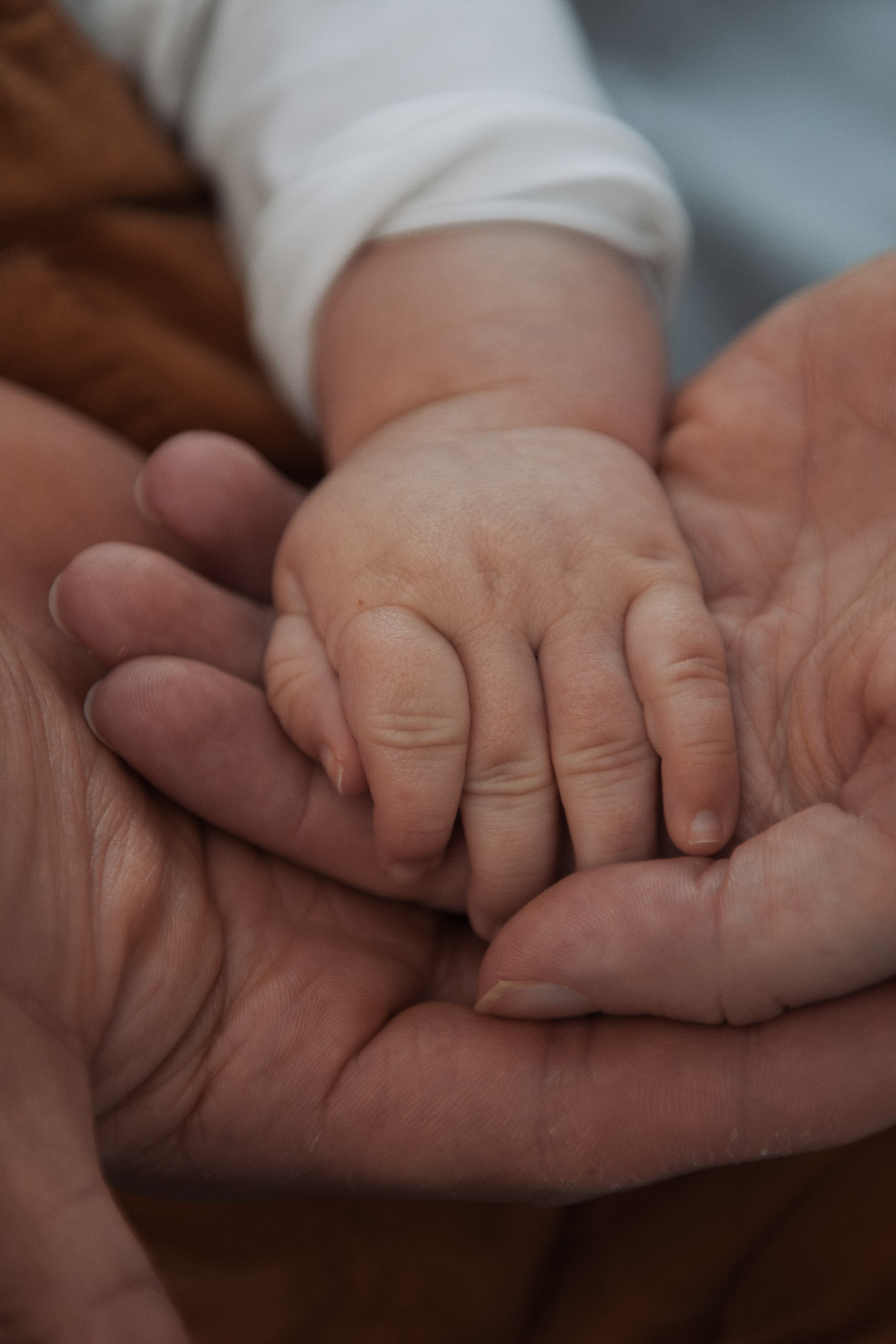 Newborn details captured in warm natural light